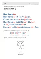Vorschau - Stundenentwürfe - Bundle: Leseverständnis - Seite 3