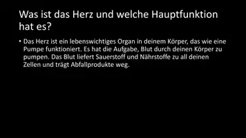 Vorschau - Arbeitsblätter - AB mit Fragen zum Thema "Bau und Funktion des Herzens" + Lösungsblatt + Infogafik - Seite 3