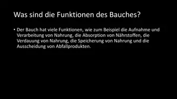 Vorschau - Arbeitsblätter - AB mit Fragen zum Thema "Bauch" + Lösungsblatt - Seite 2