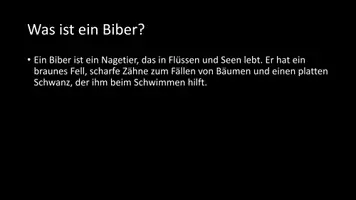 Vorschau - Arbeitsblätter - AB mit Fragen zum Thema "Biber" + Lösungsblatt + Infografik - Seite 3