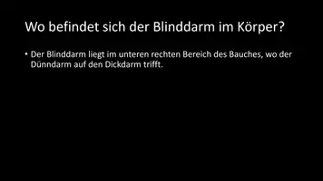 Vorschau - Arbeitsblätter - AB mit Fragen zum Thema "Blinddarm" + Lösungsblatt - Seite 3
