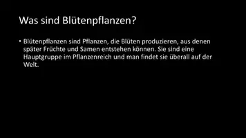 Vorschau - Arbeitsblätter - AB mit Fragen zum Thema "Blütenpflanzen" + Lösungsblatt - Seite 2