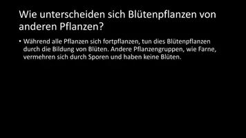 Vorschau - Arbeitsblätter - AB mit Fragen zum Thema "Blütenpflanzen" + Lösungsblatt - Seite 3