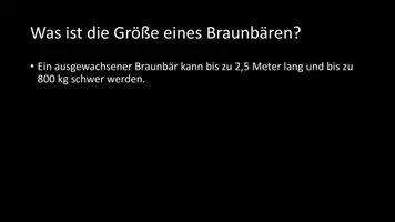 Vorschau - Arbeitsblätter - AB mit Fragen zum Thema "Braunbär" + Lösungsblatt - Seite 3