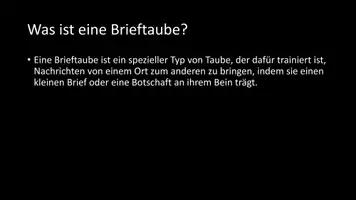 Vorschau - Arbeitsblätter - AB mit Fragen zum Thema "Brieftauben" + Lösungsblatt + Infografik - Seite 3