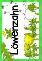 Vorschau - Poster - Vom Löwenzahn zur Pusteblume - Tafelmaterial - Seite 1