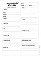 Vorschau - Arbeitsblätter - Eisbär Komplettpaket - mit Lesetext, Steckbrief, Lückentext, Suchsel, Quiz und Ausmalbildern - Seite 2