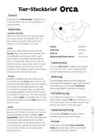 Vorschau - Arbeitsblätter - Orca Komplettpaket - mit Lesetext, Steckbrief, Lückentext, Suchsel, Quiz und Ausmalbildern - Seite 1
