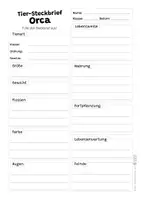 Vorschau - Arbeitsblätter - Orca Komplettpaket - mit Lesetext, Steckbrief, Lückentext, Suchsel, Quiz und Ausmalbildern - Seite 2