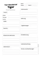 Vorschau - Arbeitsblätter - Tiger Komplettpaket - mit Lesetext, Steckbrief, Lückentext, Suchsel, Quiz und Ausmalbildern - Seite 2