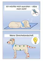 Vorschau - Merkblätter - Schulhundregeln: heller Labrador - Seite 3