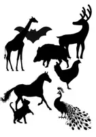 Vorschau - Anderer Materialtyp - Figur-Hintergrund-Differenzierung, Visuelle Differenzierung, Raumlage - Deckblatt