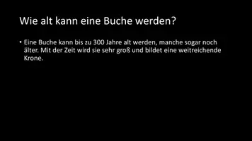 Vorschau - Arbeitsblätter - AB mit Fragen zum Thema "Buche" + Lösungsblatt - Seite 3