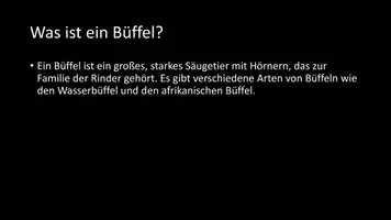 Vorschau - Arbeitsblätter - AB mit Fragen zum Thema "Büffel" + Lösungsblatt - Seite 2