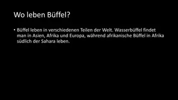 Vorschau - Arbeitsblätter - AB mit Fragen zum Thema "Büffel" + Lösungsblatt - Seite 3