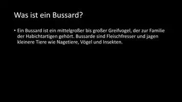 Vorschau - Arbeitsblätter - AB mit Fragen zum Thema "Bussarde" + Lösungsblatt + Infografik - Seite 3