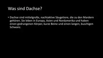 Vorschau - Arbeitsblätter - AB mit Fragen zum Thema "Dachse" + Lösungsblatt - Seite 2