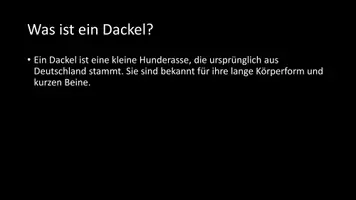 Vorschau - Arbeitsblätter - AB mit Fragen zum Thema "Dackel" + Lösungsblatt + Infografik - Seite 3
