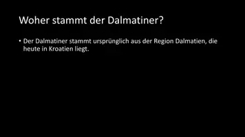 Vorschau - Arbeitsblätter - AB mit Fragen zum Thema "Dalmatiner" + Lösungsblatt - Seite 2