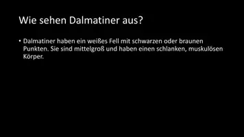 Vorschau - Arbeitsblätter - AB mit Fragen zum Thema "Dalmatiner" + Lösungsblatt - Seite 3