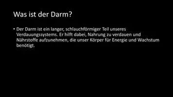 Vorschau - Arbeitsblätter - AB mit Fragen zum Thema "Darm" + Lösungsblatt + Infografiken - Seite 3