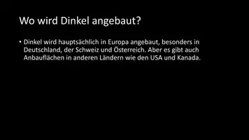 Vorschau - Arbeitsblätter - AB mit Fragen zum Thema "Dinkel" + Lösungsblatt - Seite 3