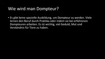 Vorschau - Arbeitsblätter - AB mit Fragen zum Thema "Dompteur" + Lösungsblatt - Seite 3