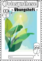 Vorschau - Unterrichtsreihen - Fotosynthese I Übungsheft I Stationsarbeit I Lerntheke. - Seite 3