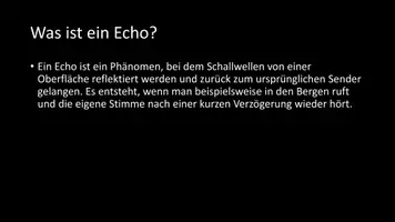 Vorschau - Arbeitsblätter - AB mit Fragen zum Thema "Echo" + Lösungsblatt + Infografik - Seite 3