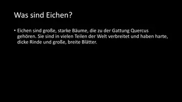 Vorschau - Arbeitsblätter - AB mit Fragen zum Thema "Eichen" + Lösungsblatt - Seite 2