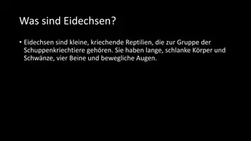 Vorschau - Arbeitsblätter - AB mit Fragen zum Thema "Eidechsen" + Lösungsblatt + Infografik - Seite 3