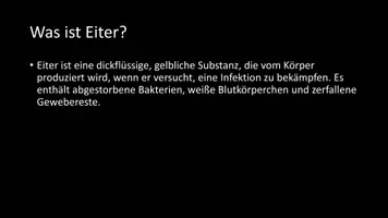 Vorschau - Arbeitsblätter - AB mit Fragen zum Thema "Eiter" + Lösungsblatt - Seite 2