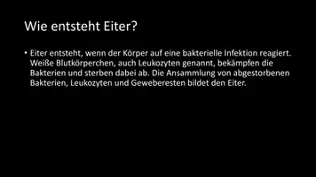 Vorschau - Arbeitsblätter - AB mit Fragen zum Thema "Eiter" + Lösungsblatt - Seite 3