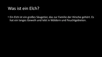 Vorschau - Arbeitsblätter - AB mit Fragen zum Thema "Elche" + Lösungsblatt + Infografik - Seite 3