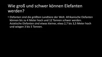 Vorschau - Arbeitsblätter - AB mit Fragen zum Thema "Elefanten" + Lösungsblatt + Infografik - Seite 3