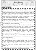Vorschau - Arbeitsblätter - Herbst: Infotext + Fragen zum Text für Klasse 2-4 - Seite 3