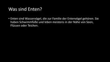 Vorschau - Arbeitsblätter - AB mit Fragen zum Thema "Enten" + Lösungsblatt + Infografik - Seite 3