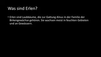 Vorschau - Arbeitsblätter - AB mit Fragen zum Thema "Erlen" + Lösungsblatt - Seite 2
