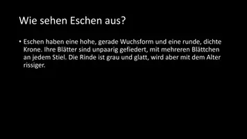 Vorschau - Arbeitsblätter - AB mit Fragen zum Thema "Eschen" + Lösungsblatt - Seite 3