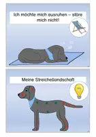 Vorschau - Merkblätter - Schulhundregeln: schwarzer Labrador - Seite 3
