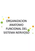 Vista previa - Refuerzo / NEE / Materiales de apoyo - Organización anatomo-funcional del SN - Portada