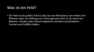 Vorschau - Arbeitsblätter - AB mit Fragen zum Thema "Felder" + Lösungsblatt - Seite 2