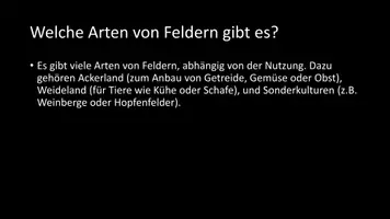 Vorschau - Arbeitsblätter - AB mit Fragen zum Thema "Felder" + Lösungsblatt - Seite 3