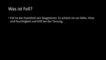 Vorschau - Arbeitsblätter - AB mit Fragen zum Thema "Fell" + Lösungsblatt - Seite 2