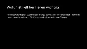 Vorschau - Arbeitsblätter - AB mit Fragen zum Thema "Fell" + Lösungsblatt - Seite 3