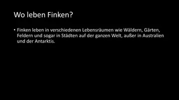Vorschau - Arbeitsblätter - AB mit Fragen zum Thema "Finken" + Lösungsblatt - Seite 3