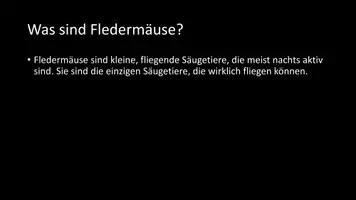 Vorschau - Arbeitsblätter - AB mit Fragen zum Thema "Fledermäuse" + Lösungsblatt + Infografik - Seite 3