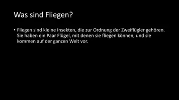 Vorschau - Arbeitsblätter - AB mit Fragen zum Thema "Fliegen" + Lösungsblatt + Infografik - Seite 3