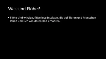 Vorschau - Arbeitsblätter - AB mit Fragen zum Thema "Flöhe" + Lösungsblatt + Infografik - Seite 3