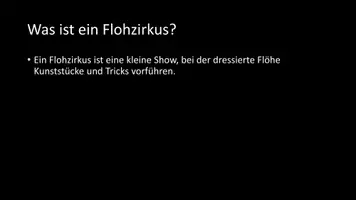 Vorschau - Arbeitsblätter - AB mit Fragen zum Thema "Flohzirkus" + Lösungsblatt - Seite 2